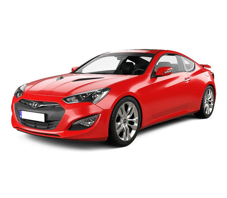 Protection de seuil de porte en acier inoxydable Hyundai Genesis