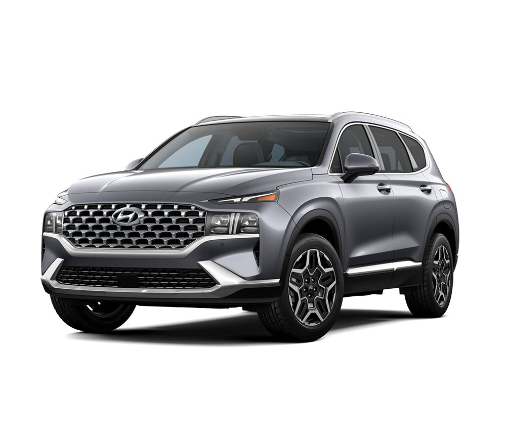 Protection en acier inoxydable pour pédale repos-pied Hyundai Santa Fe IV fabrication 08.2018 - présent, carrosserie suv