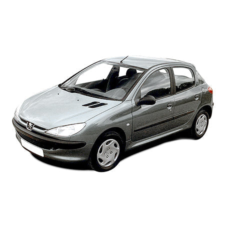 Protection de seuil de porte en acier inoxydable Peugeot 206 fabrication 1998 - 2010, carrosserie berline