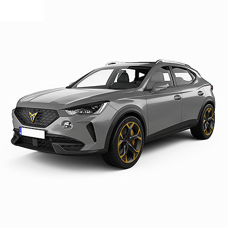 Tapis de coffre Seat Formentor