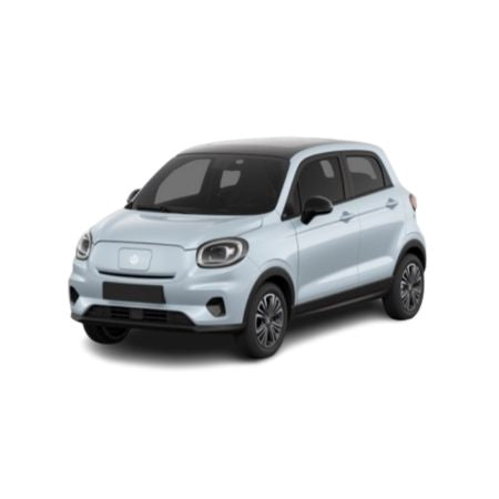Tapis avec bords relevés Leapmotor T03 EV fabrication 2024 - présent, carrosserie berline