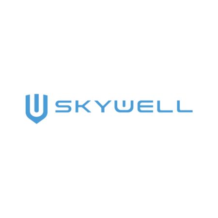 Tapis de voiture Skywell