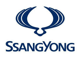 Protection de seuil de porte en acier inoxydable Ssang Yong