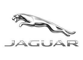 Protection de seuil de porte en acier inoxydable Jaguar