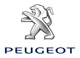 Protection de seuil de porte en acier inoxydable Peugeot