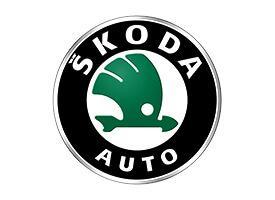 Protection de seuil de porte en acier inoxydable Skoda