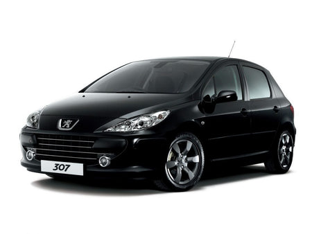 Moulures de carrosserie latérales Peugeot 307