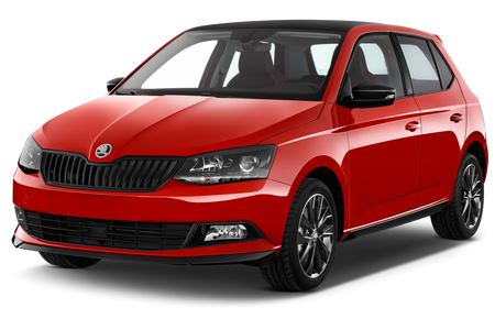 Moulures de carrosserie latérales Skoda Fabia