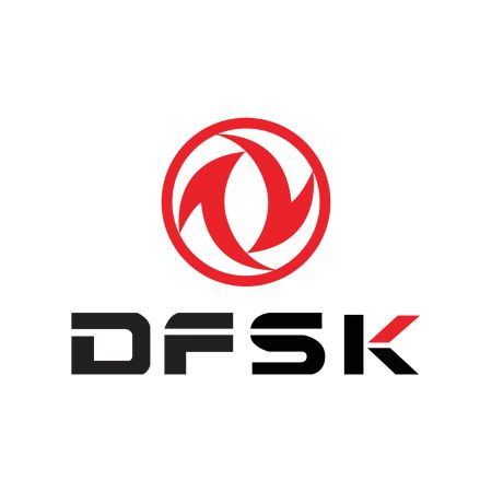 Tapis de voiture DFSK