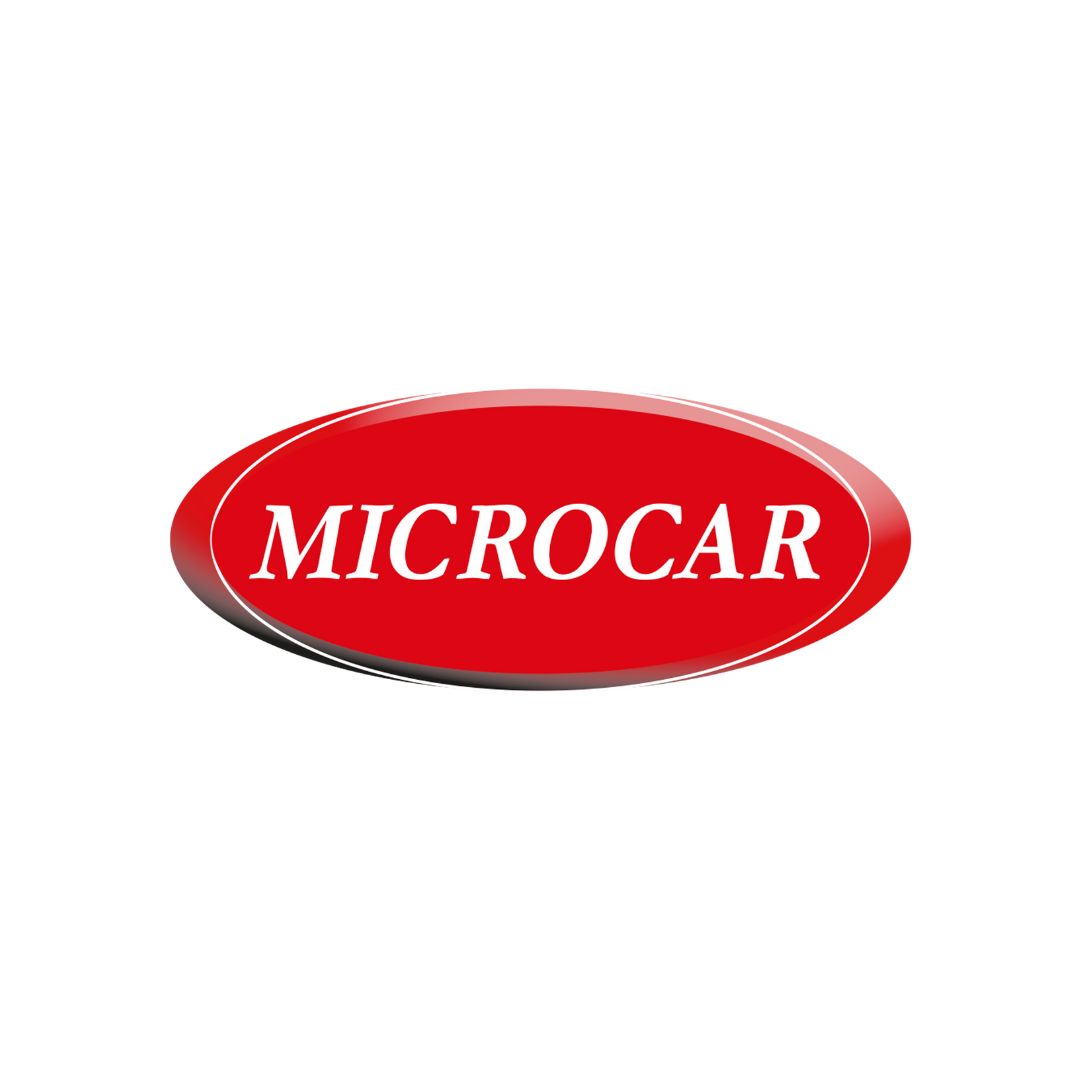 Tapis de coffre Microcar