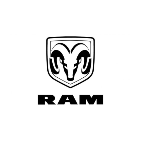 Tapis de voiture RAM
