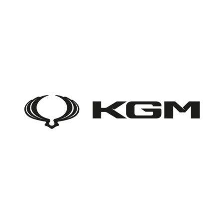 Tapis de voiture KGM