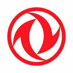 Tapis de coffre DFSK (Dongfeng)
