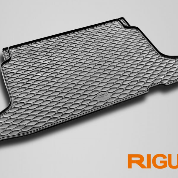 Tapis de coffre Lexus LBX Hybrid, carrosserie suv, fabrication 03.2024 - présent, 4x2/4x4 | 418019