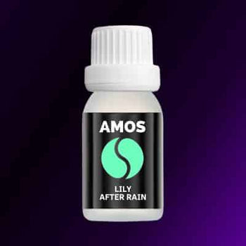 AMOS ONE PACK Diffuseur intelligent  + de 6 parfums cadeaux insensés