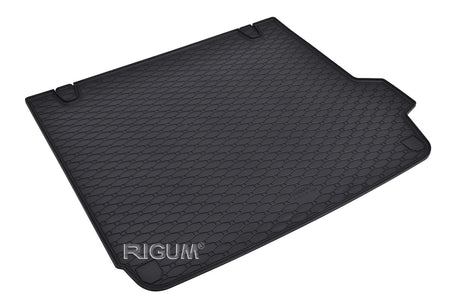 Tapis de coffre BMW X4 G02, carrosserie suv, fabrication 04.2018 - présent #1