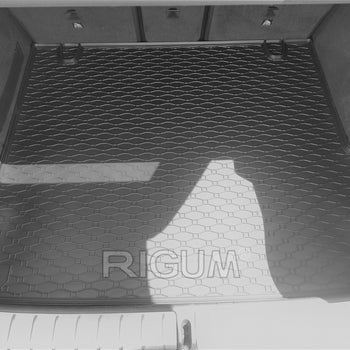 Tapis de coffre BMW X4 G02, carrosserie suv, fabrication 04.2018 - présent #1