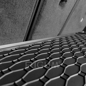 Tapis de coffre BMW X4 G02, carrosserie suv, fabrication 04.2018 - présent #1