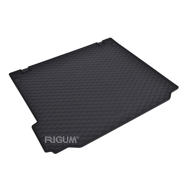 Tapis de coffre BMW X5 E70, carrosserie suv, fabrication 04.2007 - 09.2013 #1 - 1